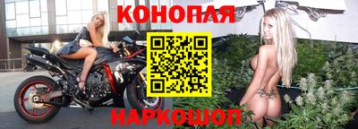 эйфоретик Новодвинск